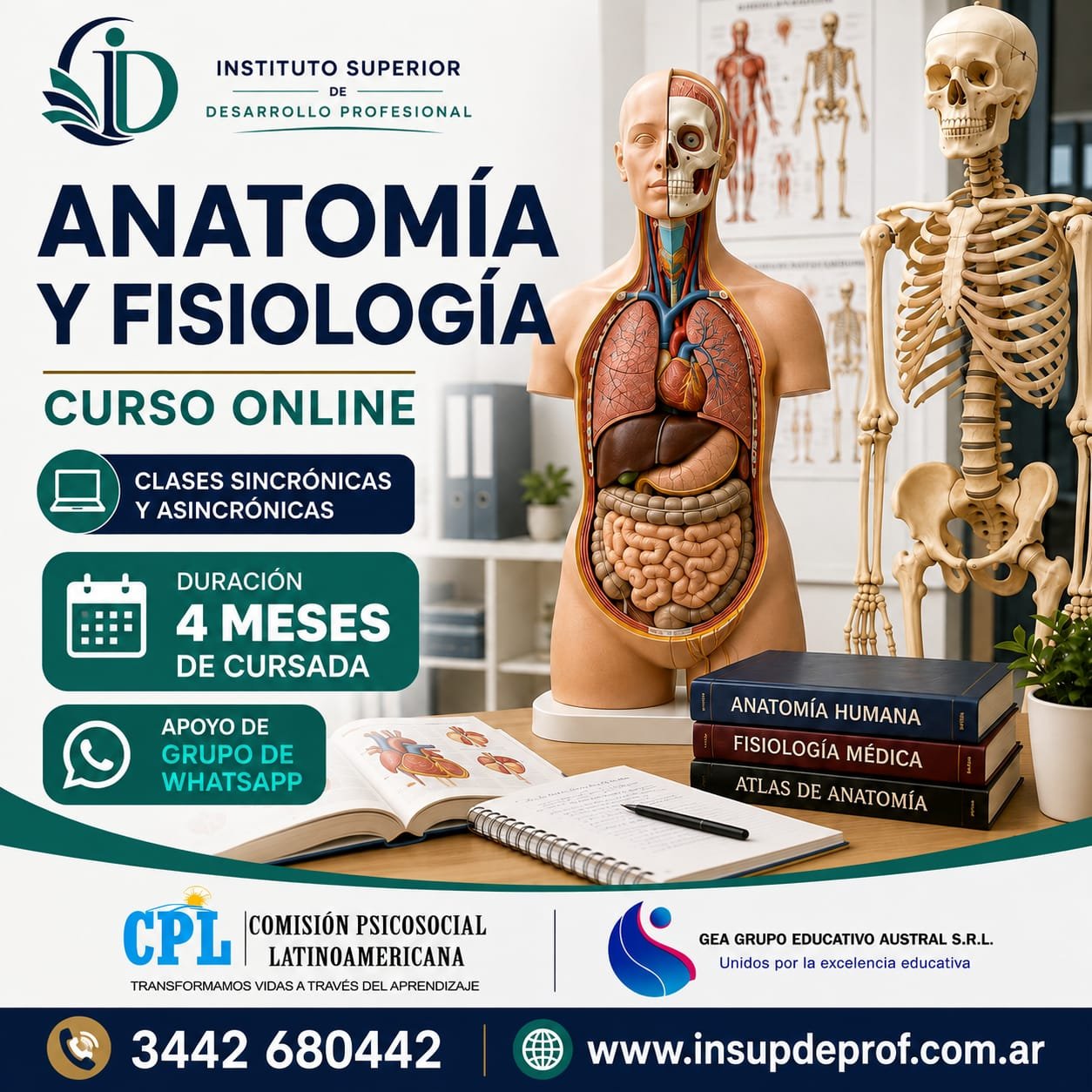 Anatomía y Fisiología